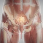 découvrez l'importance du périnée chez l'homme et apprenez des conseils pratiques pour en prendre soin au quotidien afin de préserver votre santé et votre bien-être.